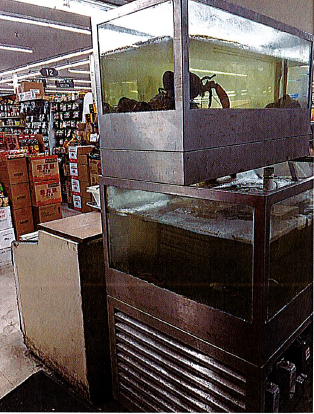 Crabs and lobsters died in captivity